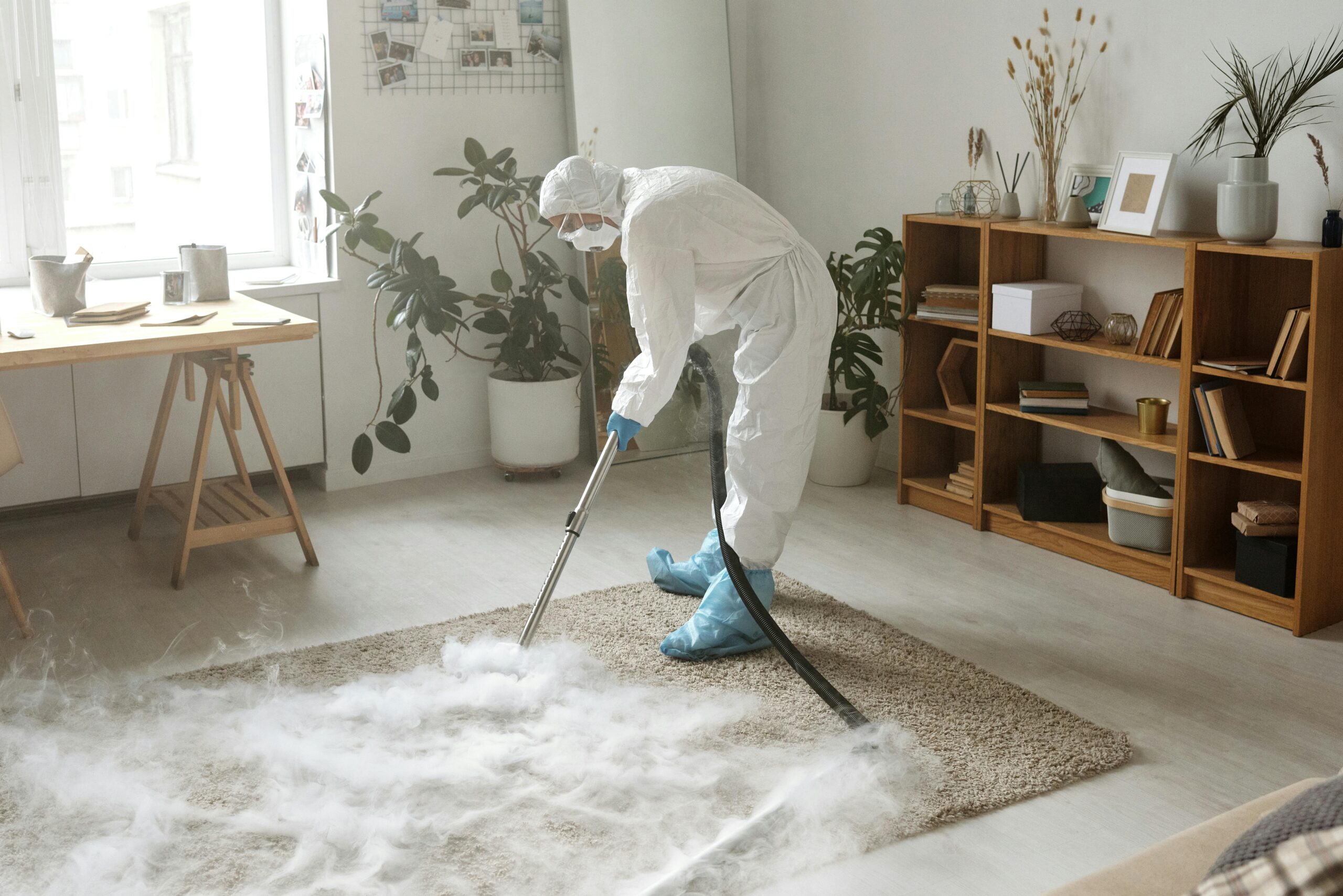 professional carpet steam cleaning melbourne